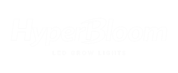 Hyper Bloom
