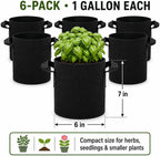 HyperBloom 5-Pack 1 Gallon Fabric Grow Pots with Handles for Indoor & Outdoor Plants, Heavy Duty Nonwoven Grow Bags for Air Pruned Roots, Breathable Reusable Plant Containers for Vegetables, Herbs & Hydroponics